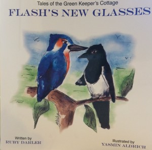Flash's New Glasses