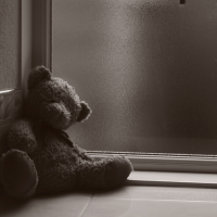 teddy bear with grey background