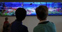 Digital fish tank in surgical day care - Alder Hey Children's Hospital - Please Credit (2)